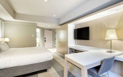 Room, 1 King Bed (Superior)