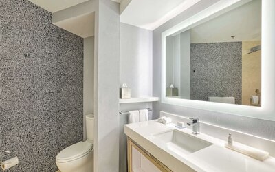 The Royal Sonesta Minneapolis Downtown