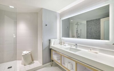 The Royal Sonesta Minneapolis Downtown