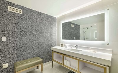 The Royal Sonesta Minneapolis Downtown