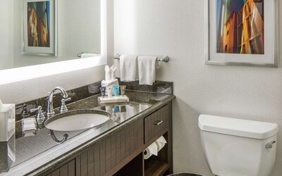 Hilton Minneapolis