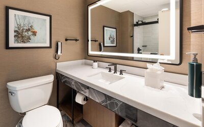 Hilton Minneapolis