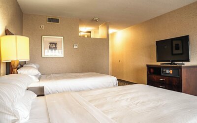 DoubleTree by Hilton Hotel St. Paul Downtown