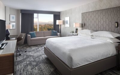 Sheraton Vancouver Guildford Hotel