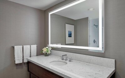 Sheraton Vancouver Guildford Hotel