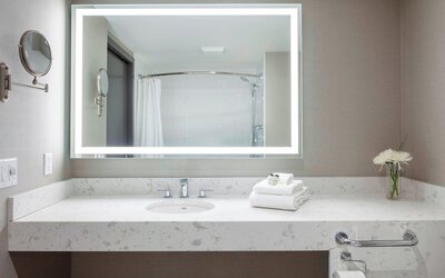 Sheraton Vancouver Guildford Hotel