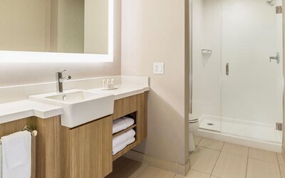SpringHill Suites by Marriott St. Paul Downtown