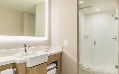 SpringHill Suites by Marriott St. Paul Downtown