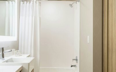 SpringHill Suites by Marriott St. Paul Downtown