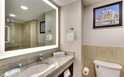 Drury Plaza Hotel St. Paul Downtown