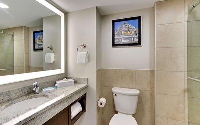 Drury Plaza Hotel St. Paul Downtown