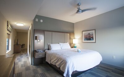 Hampton Inn & Suites Downtown St. Paul