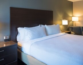 Holiday Inn St. Paul Downtown by IHG
