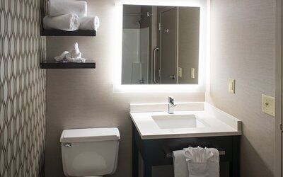 Holiday Inn St. Paul Downtown by IHG