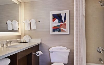 Embassy Suites by Hilton Anaheim North