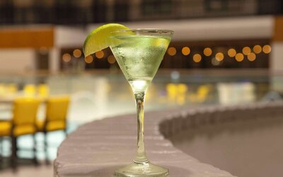 Embassy Suites by Hilton Anaheim North