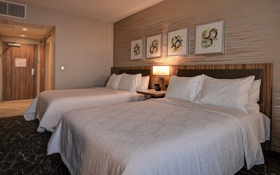 Hilton Garden Inn Anaheim Resort