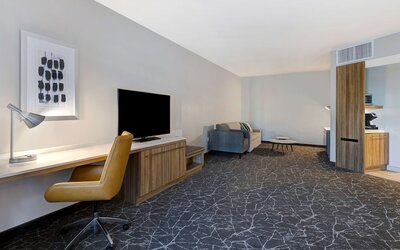 Hilton Garden Inn Anaheim Resort