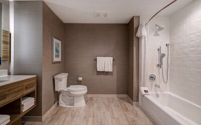 Hilton Garden Inn Anaheim Resort