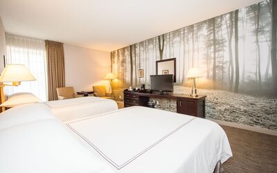 Anaheim Majestic Garden Hotel