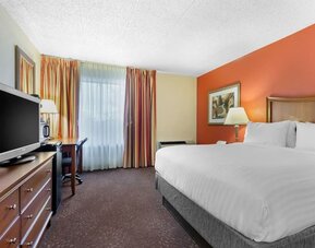 Delux king room with TV at Holiday Inn Express Chicago - Downers Grove.