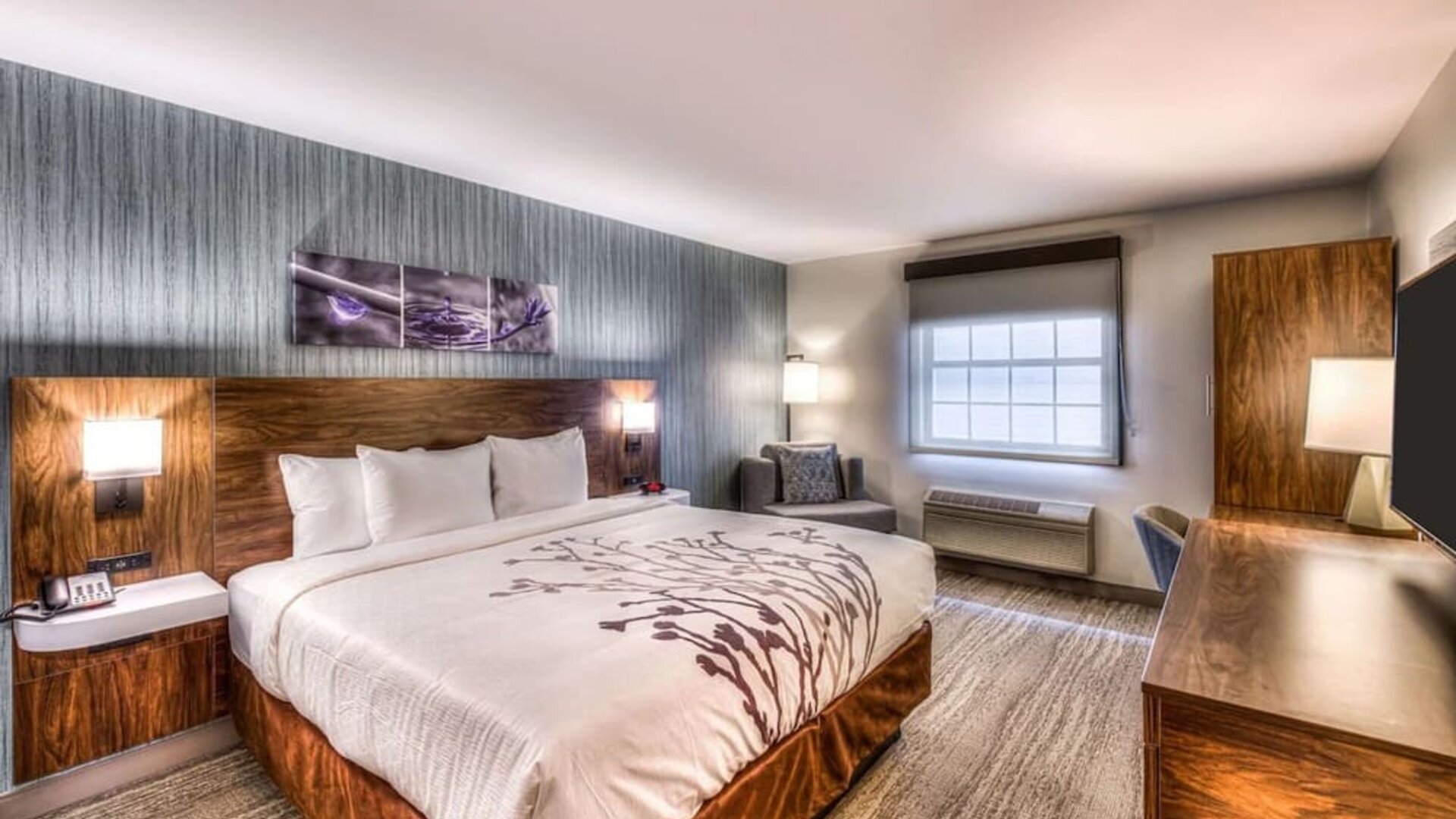 Delux king room with natural light at Sleep Inn Oakbrook Terrace.