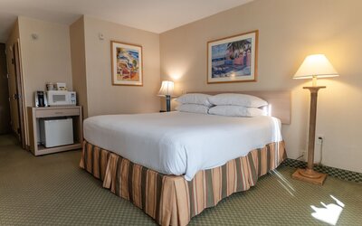 Howard Johnson by Wyndham Anaheim Hotel and Water Playground