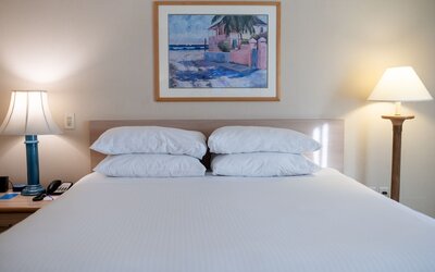 Howard Johnson by Wyndham Anaheim Hotel and Water Playground
