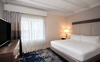 Crowne Plaza Albany - The Desmond Hotel by IHG