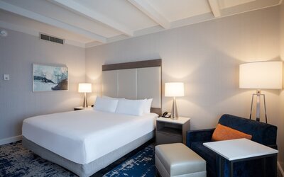Crowne Plaza Albany - The Desmond Hotel by IHG