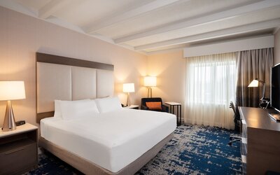 Crowne Plaza Albany - The Desmond Hotel by IHG