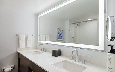 Crowne Plaza Albany - The Desmond Hotel by IHG