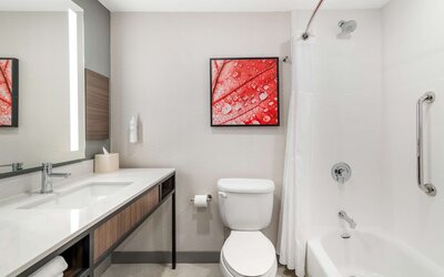 Hilton Garden Inn Albany/SUNY Area