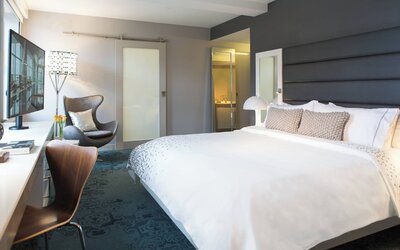 Renaissance Albany Hotel