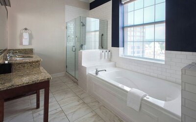 Fairfield Inn & Suites by Marriott Albany Downtown