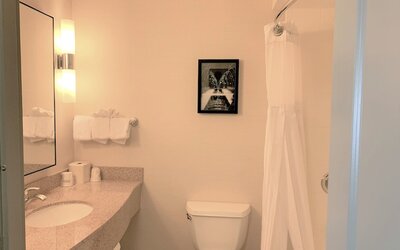 Hilton Garden Inn Albany Medical Center
