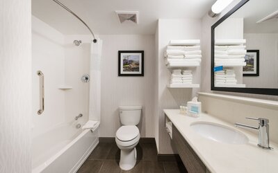 Holiday Inn Hotel & Suites Anaheim by IHG