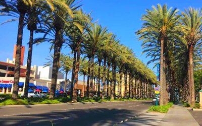 Bposhtels Anaheim