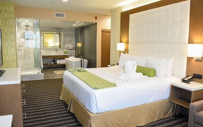 Wyndham Anaheim