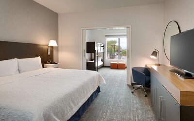 Hampton Inn  & Suites Anaheim Resort Convention Center