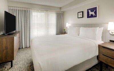 Studio Suite, 1 Queen Bed with Sofa bed (Studio)