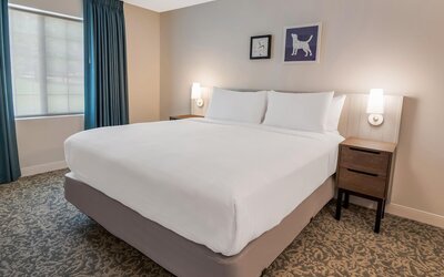 Studio Suite, 1 Queen Bed with Sofa bed (Studio)