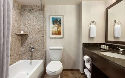 Embassy Suites by Hilton Brea North Orange County