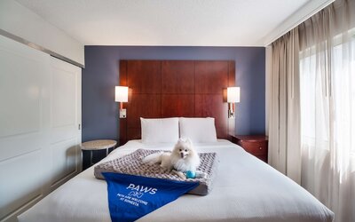 Sonesta ES Suites Huntington Beach Fountain Valley