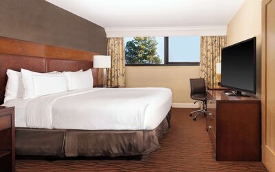 Hilton Orange County/Costa Mesa
