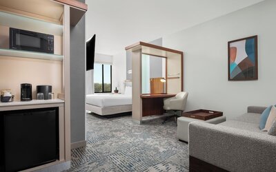 SpringHill Suites Irvine John Wayne Airport/Orange County