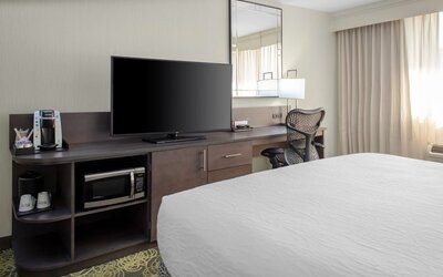 Hilton Garden Inn Reagan National Airport