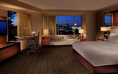 Standard Room, 1 King Bed, Accessible (Roll-in Shower)