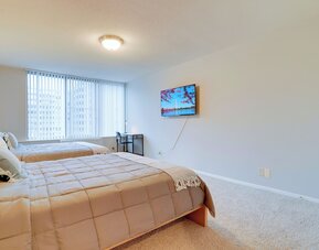Bright Comfort in DC Apts