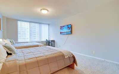 Bright Comfort in DC Apts